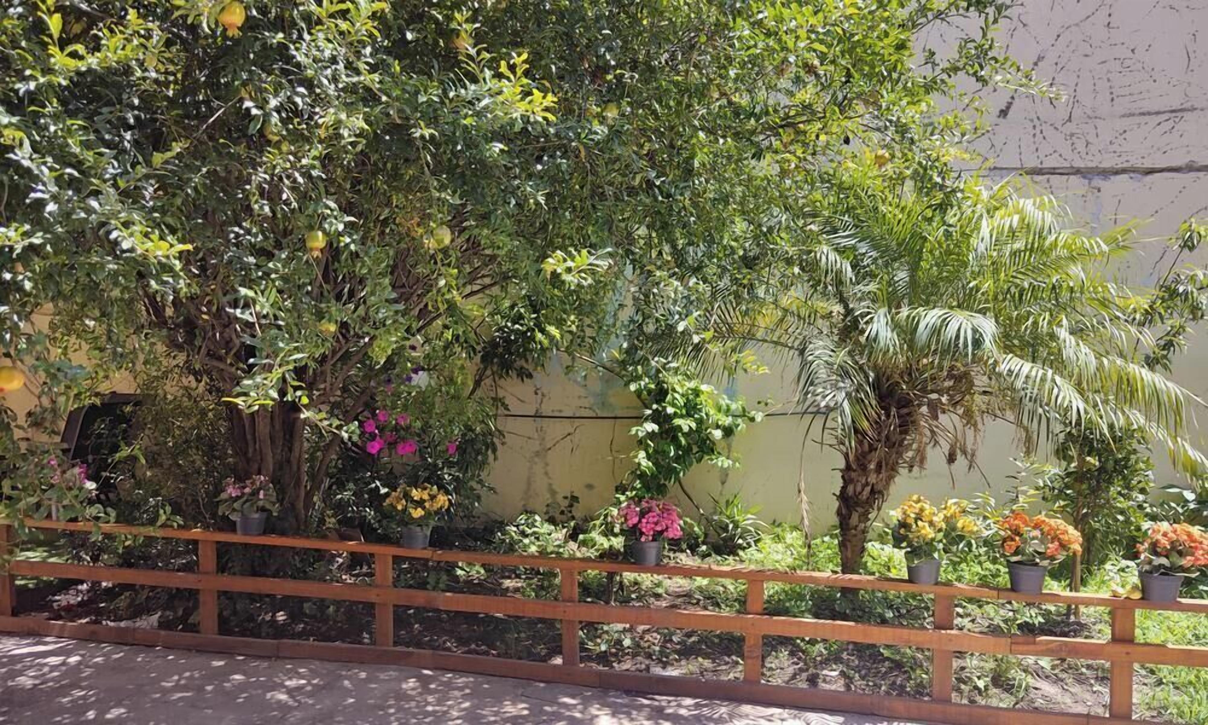 A garden with various plants and flowers, a wooden fence, and a wall in the background.