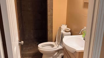 Shower, jetted tub, hair dryer, towels