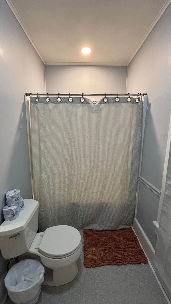 Ein kleines Badezimmer mit Toilette, Duschvorhang und Teppich.