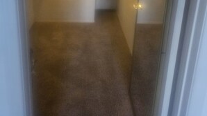 Un pasillo estrecho con piso alfombrado, una puerta a la derecha y un cuadro en la pared.