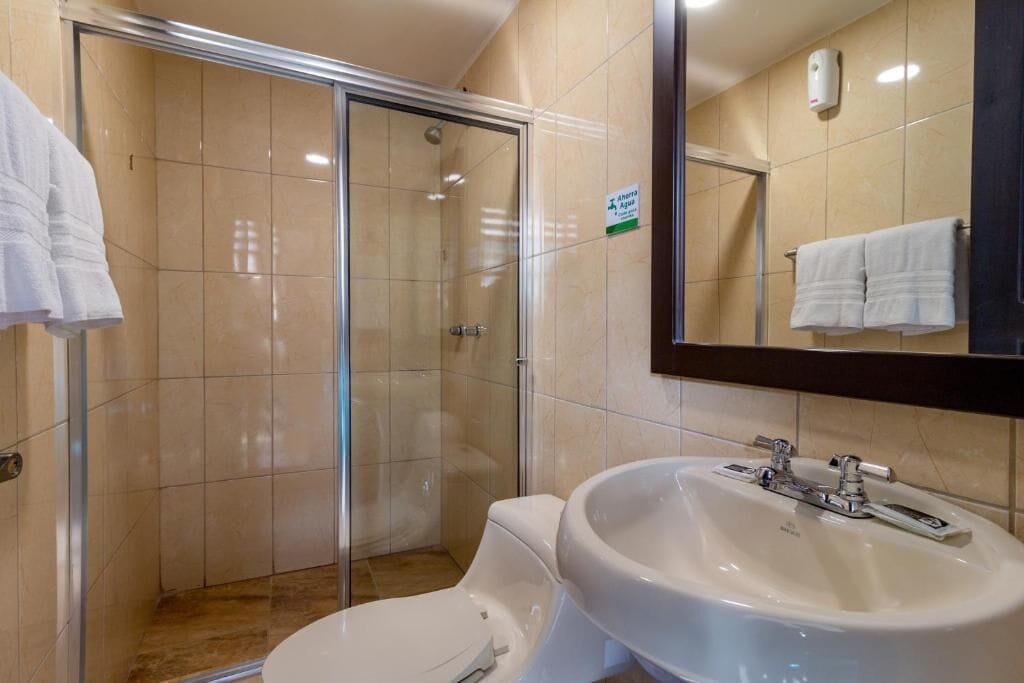 Driepersoonskamer, uitzicht op de stad | Badkamer | Een douche, gratis toiletartikelen, een haardroger, zeep