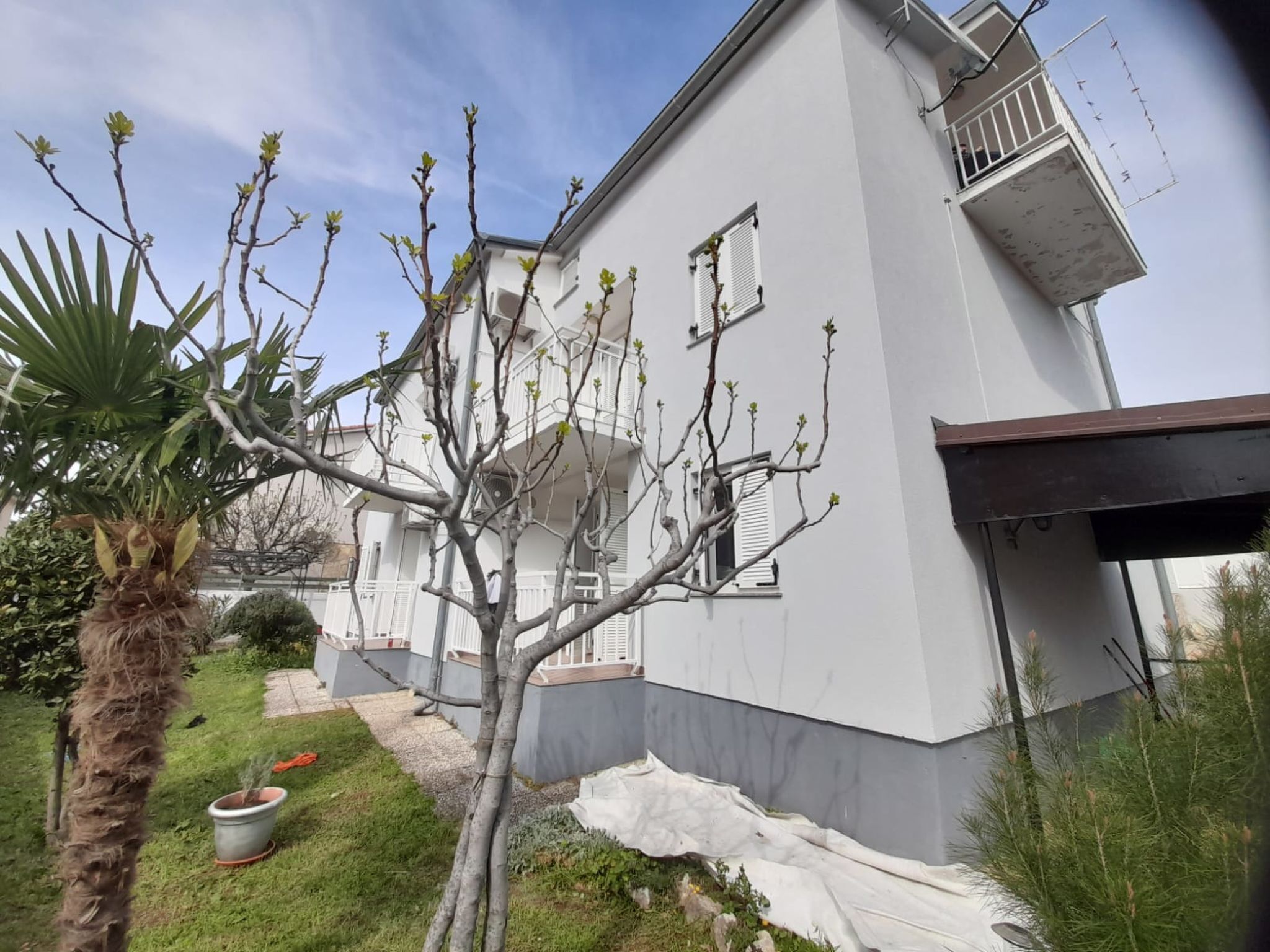 Un bâtiment à deux étages, à la façade blanche, doté d’un balcon à l’étage supérieur et d’un jardin agrémenté d’un palmier et d’une plante en pot.