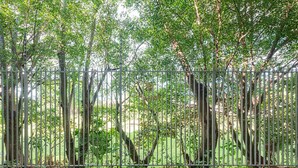 A metal fence with trees and greenery behind it. - Cozy Studio in San Jose Urban Flats Building (Pozos)