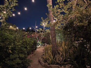A nighttime garden pathway with a palm tree and various plants. - Los Cabos Retreat
3/3 home, 24 Hr. security, private pool gated compound (San José del Cabo)