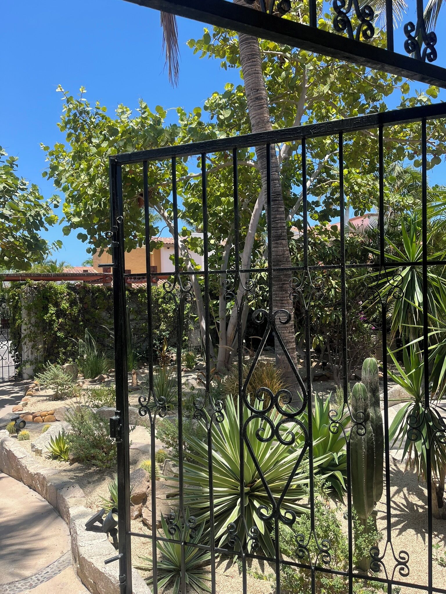 Ein schmiedeeisernes Tor mit Zierdekor, das zu einem Garten mit verschiedenen Pflanzen und einer Palme führt.