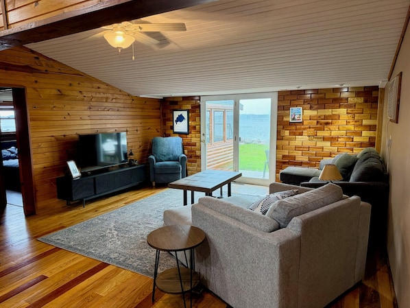 Smart TV, fireplace, books