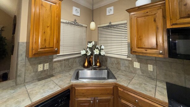 Una cocina con armarios de madera, un lavamanos de acero inoxidable y una planta en maceta.