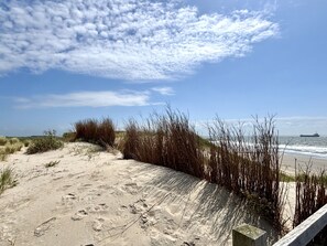 A sandy beach with tall grasses and a concrete barrier. - Studio ZeeRust by Interhome (Koudekerke)
