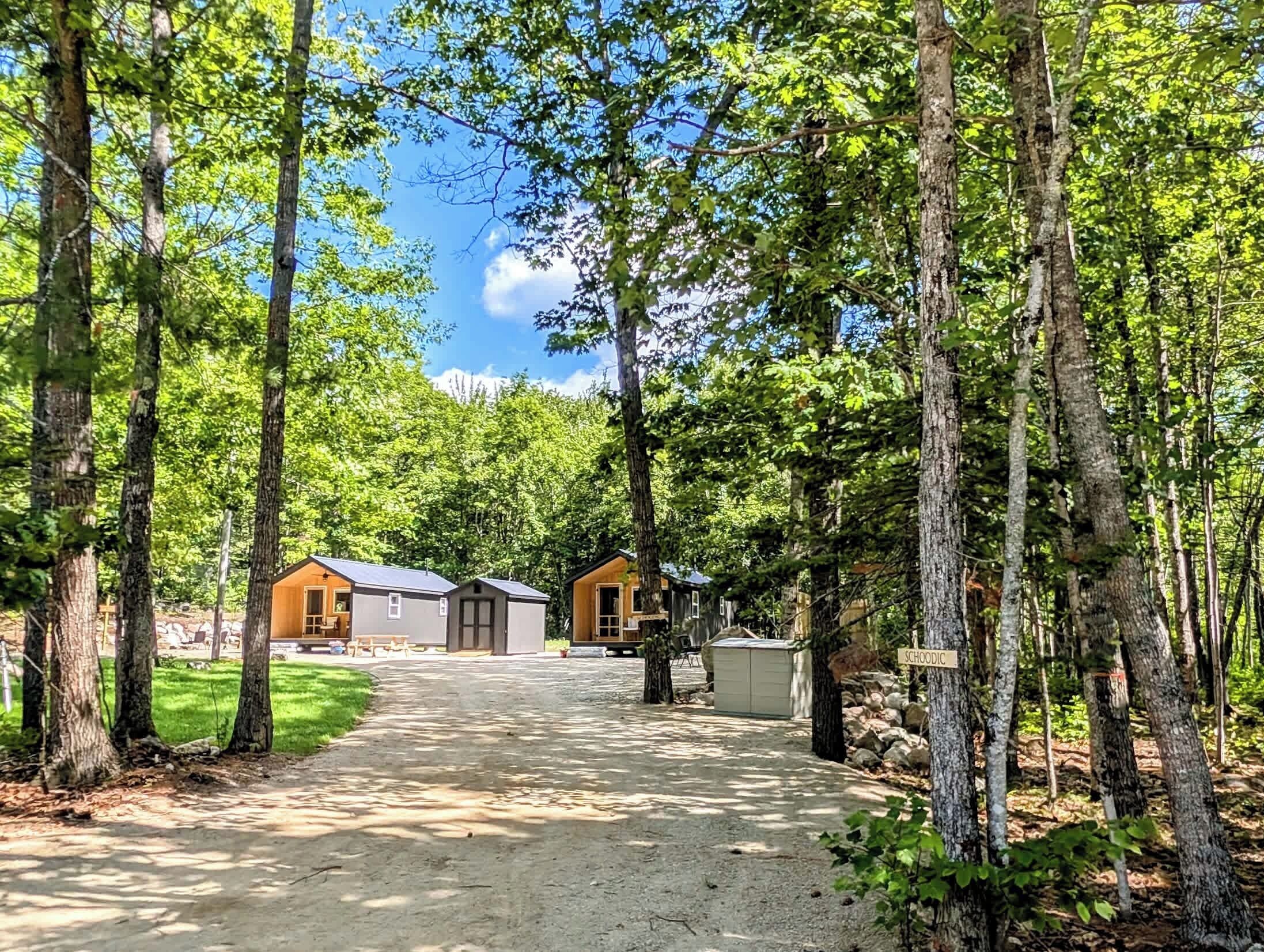 A campground with two cabins, a gravel path, and surrounding trees.