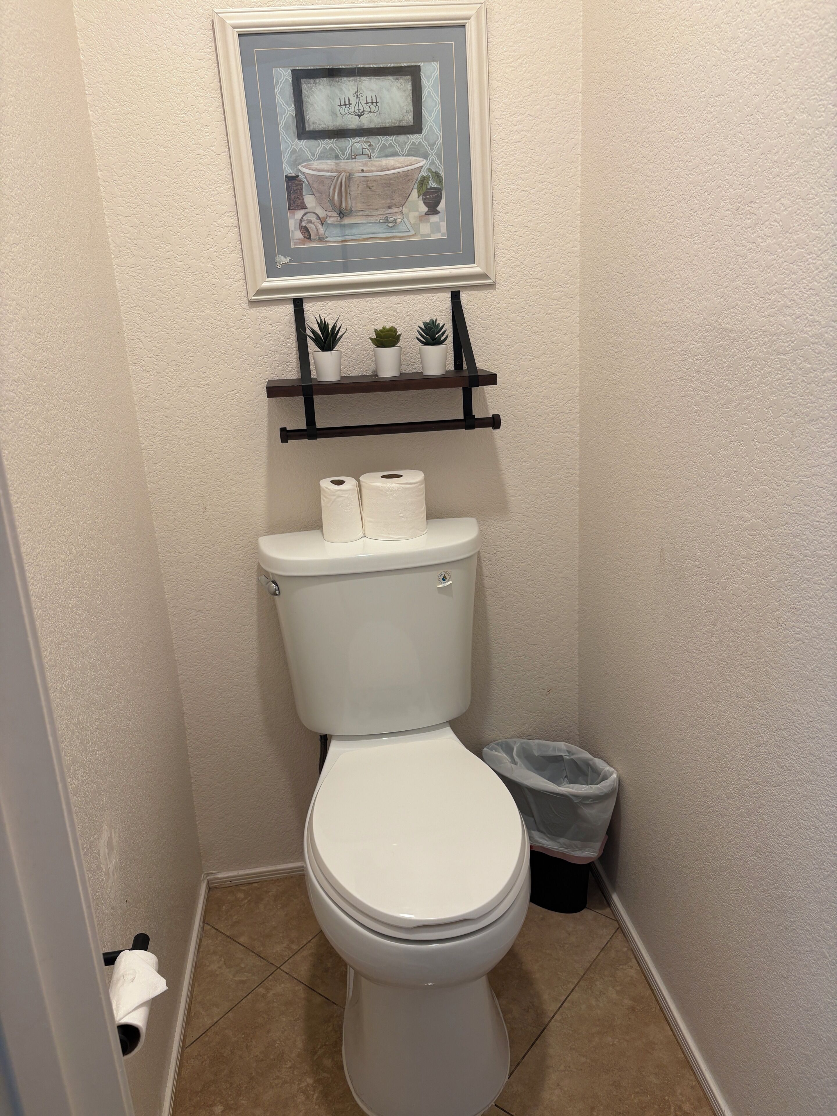 A bathroom with a toilet, a framed picture above the sink, and a shelf with potted plants.