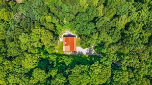 Vista aérea de un edificio rodeado de un denso bosque verde.