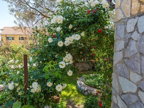 A garden with white and red roses, a stone wall, and a yellow building in the background. - AKELAVA 2 / HR-05548-02 by Interhome (Crikvenica)
