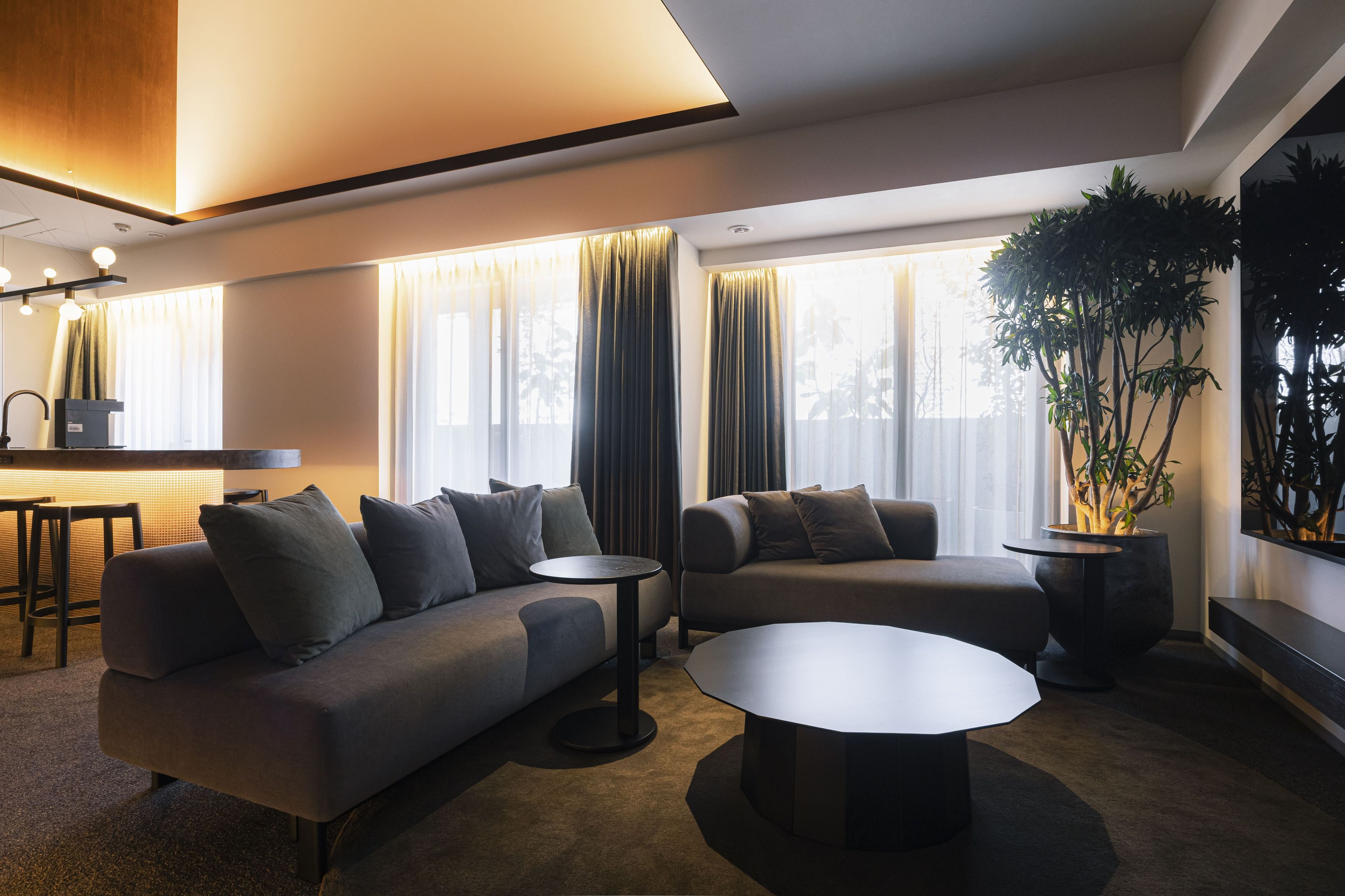 Un salon moderne avec un canapé, une table basse et un téléviseur. Il y a des rideaux aux fenêtres et une plante sur le côté.