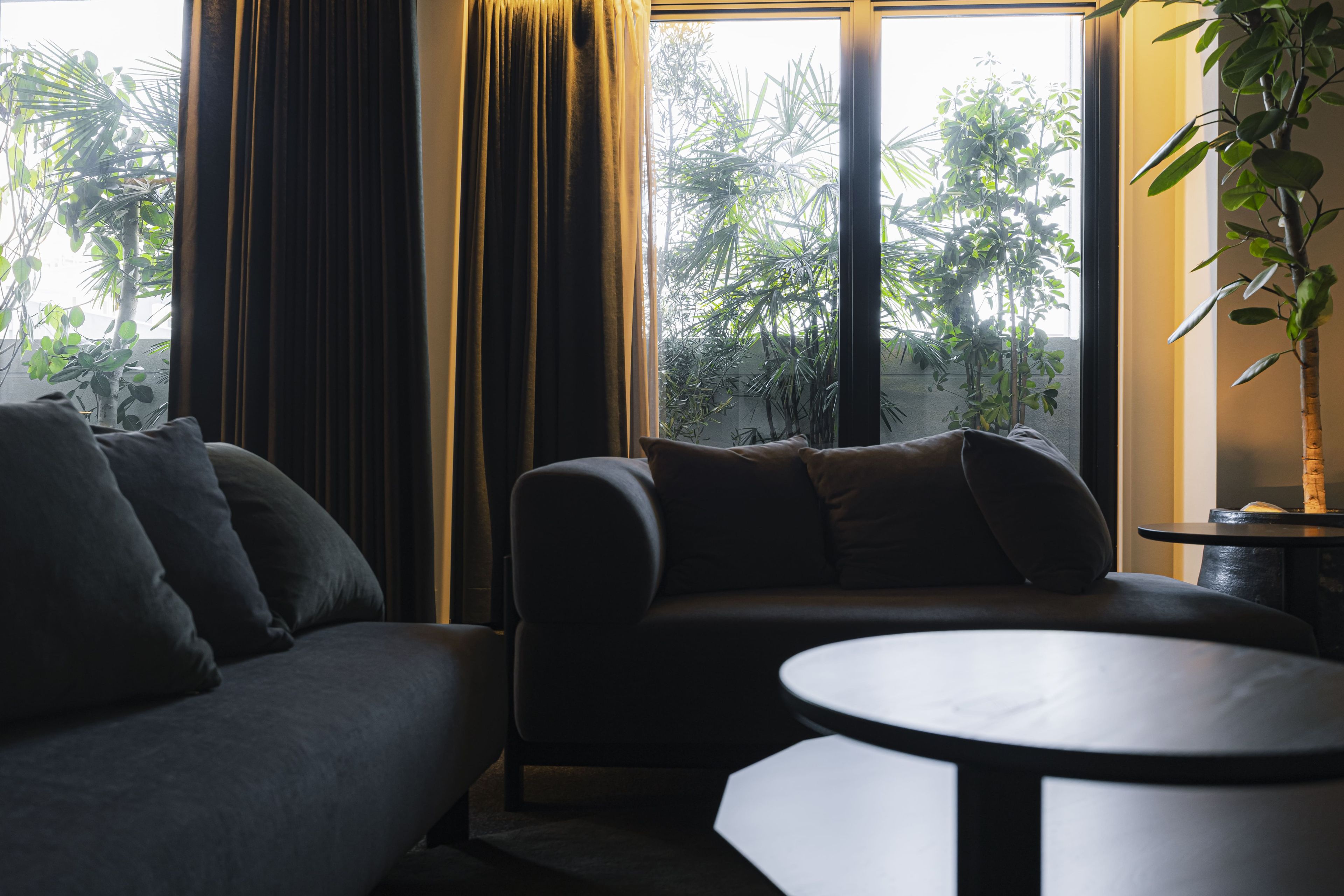A modern living room with a sofa and a coffee table, large windows with curtains, and a potted plant.