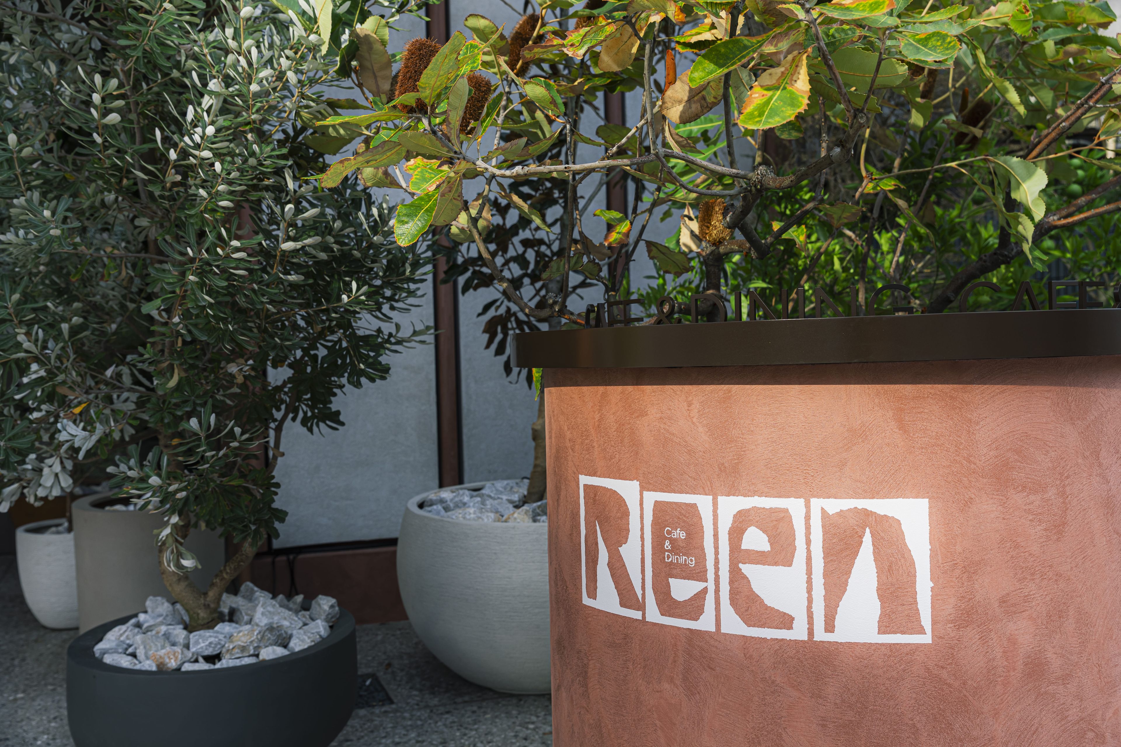 A potted plant with the word 'REEN' on a planter.