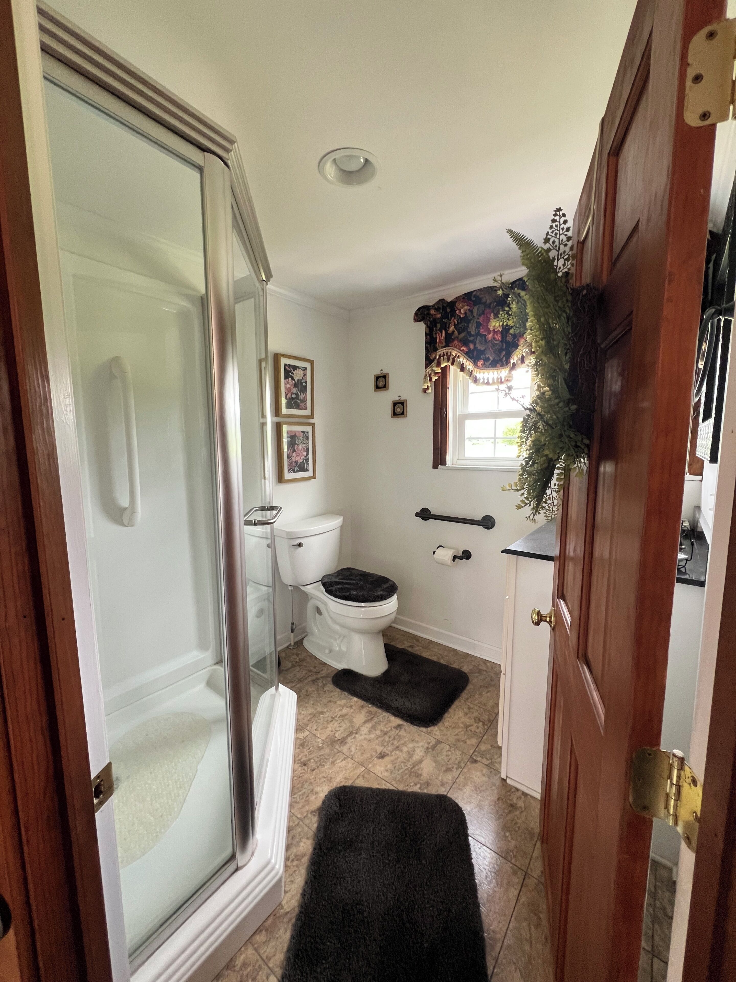 Une salle de bain avec une douche à parois de verre, des toilettes, un tapis de bain noir et une plante décorative.
