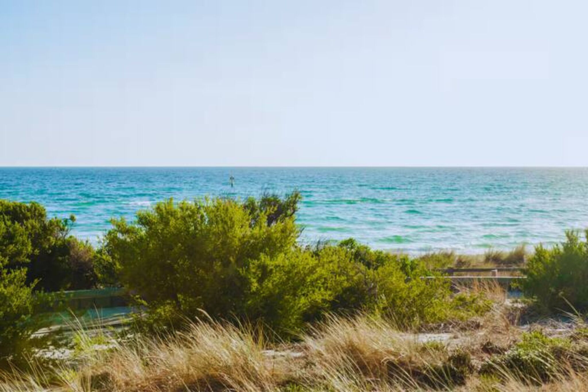 A coastal landscape with a view of the sea, greenery, and a distant buoy.