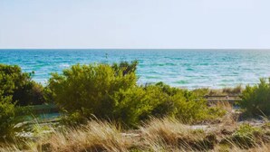 A coastal landscape with a view of the sea, greenery, and a distant buoy. - Bonbeach Retreat by Ready Set Stay - 2 Bedroom, Family Friendly Apartment (Bonbeach)