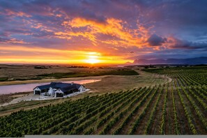 House | 4 bedrooms - Farmstead at ESC Winery (Hermanus)