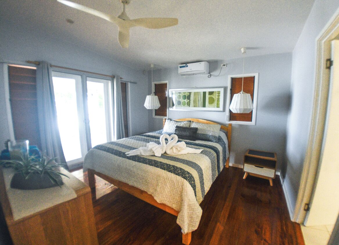 A bedroom with a bed, a ceiling fan, a window, and a plant.