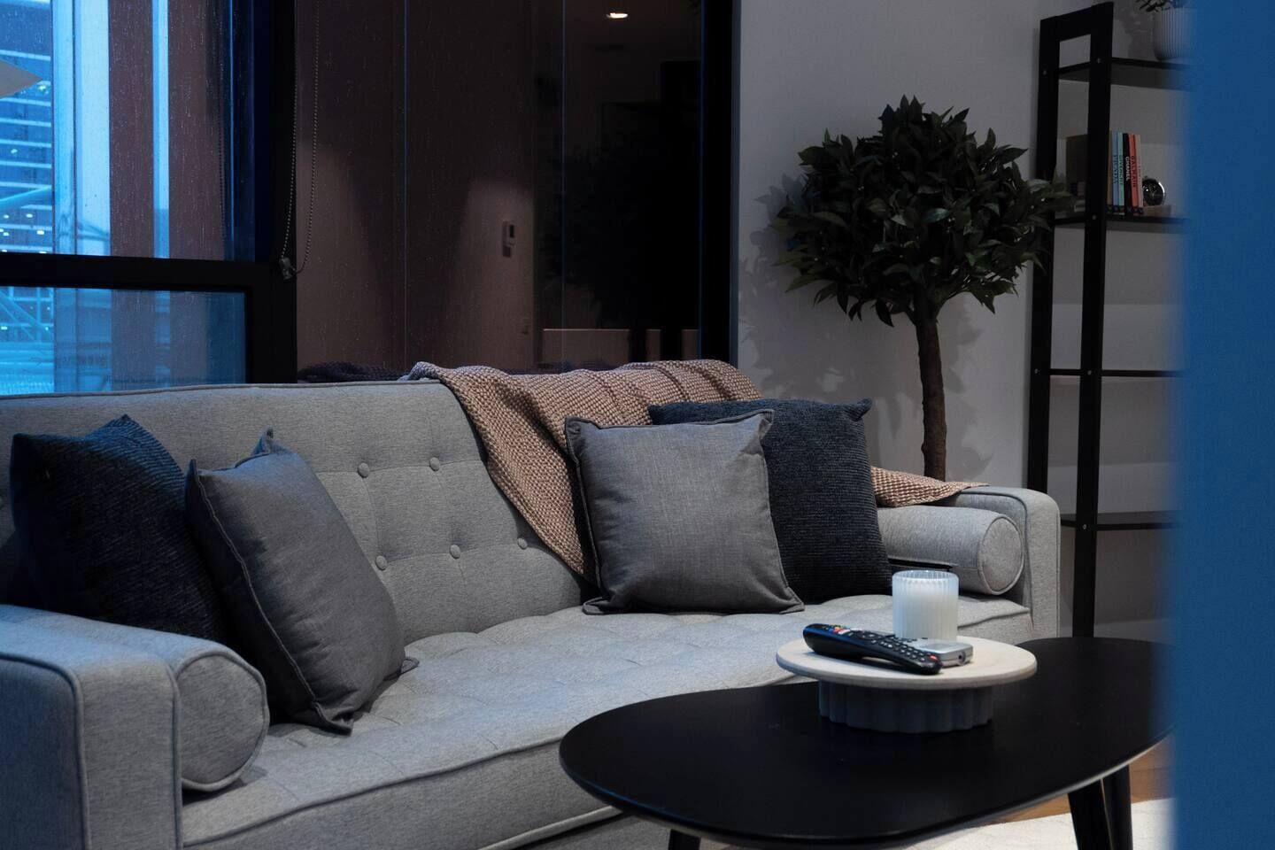 TV, books, stereo