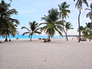Une plage bordée de palmiers où des gens se détendent sur le sable.