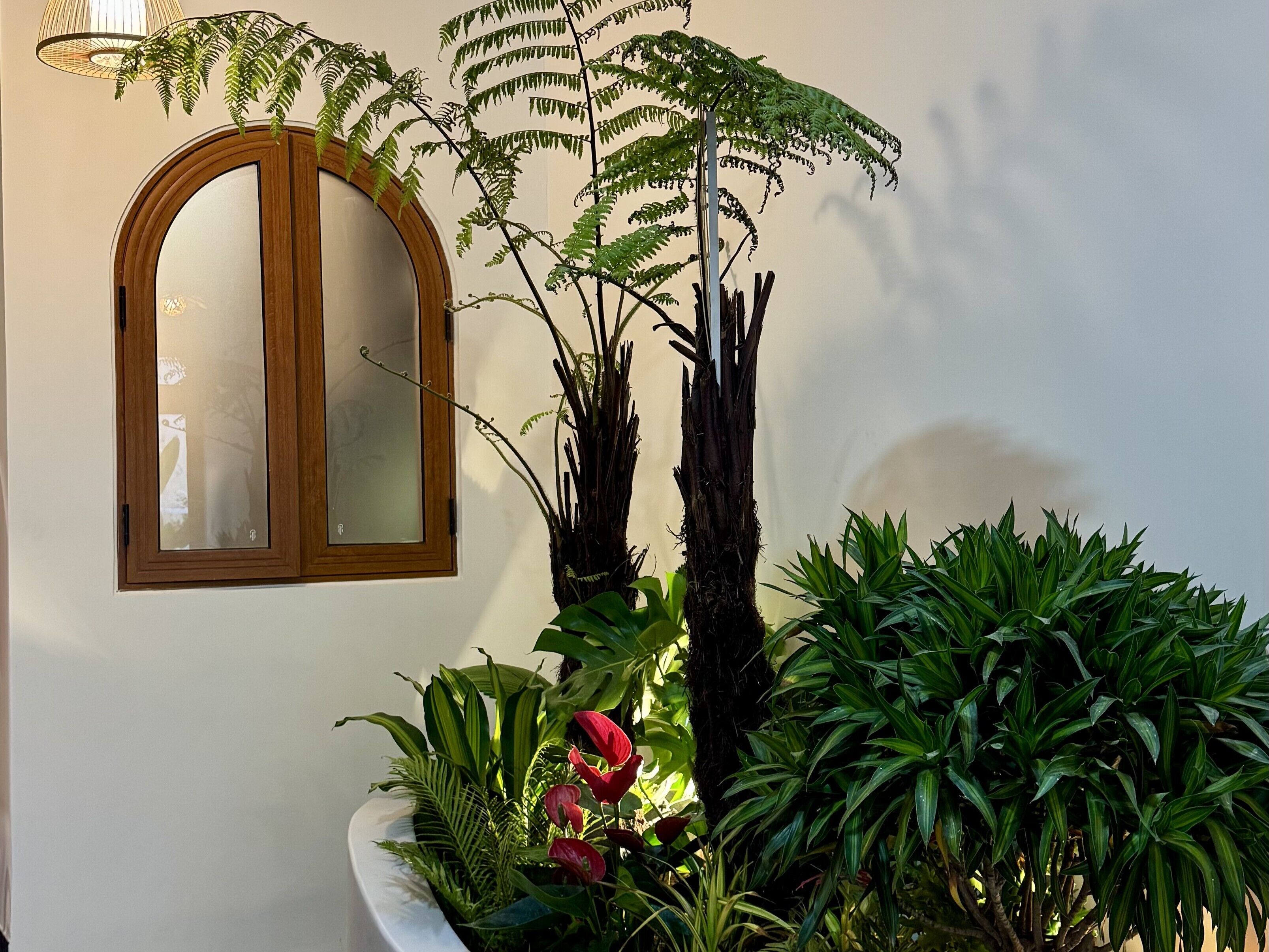 Una habitación con un espejo grande, una planta en maceta y un ventanal.
