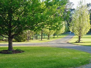 Ein Kiesweg, der durch einen Park mit Bäumen und einer Rasenfläche führt.