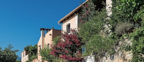 A narrow street lined with traditional buildings, some with balconies and vegetation.