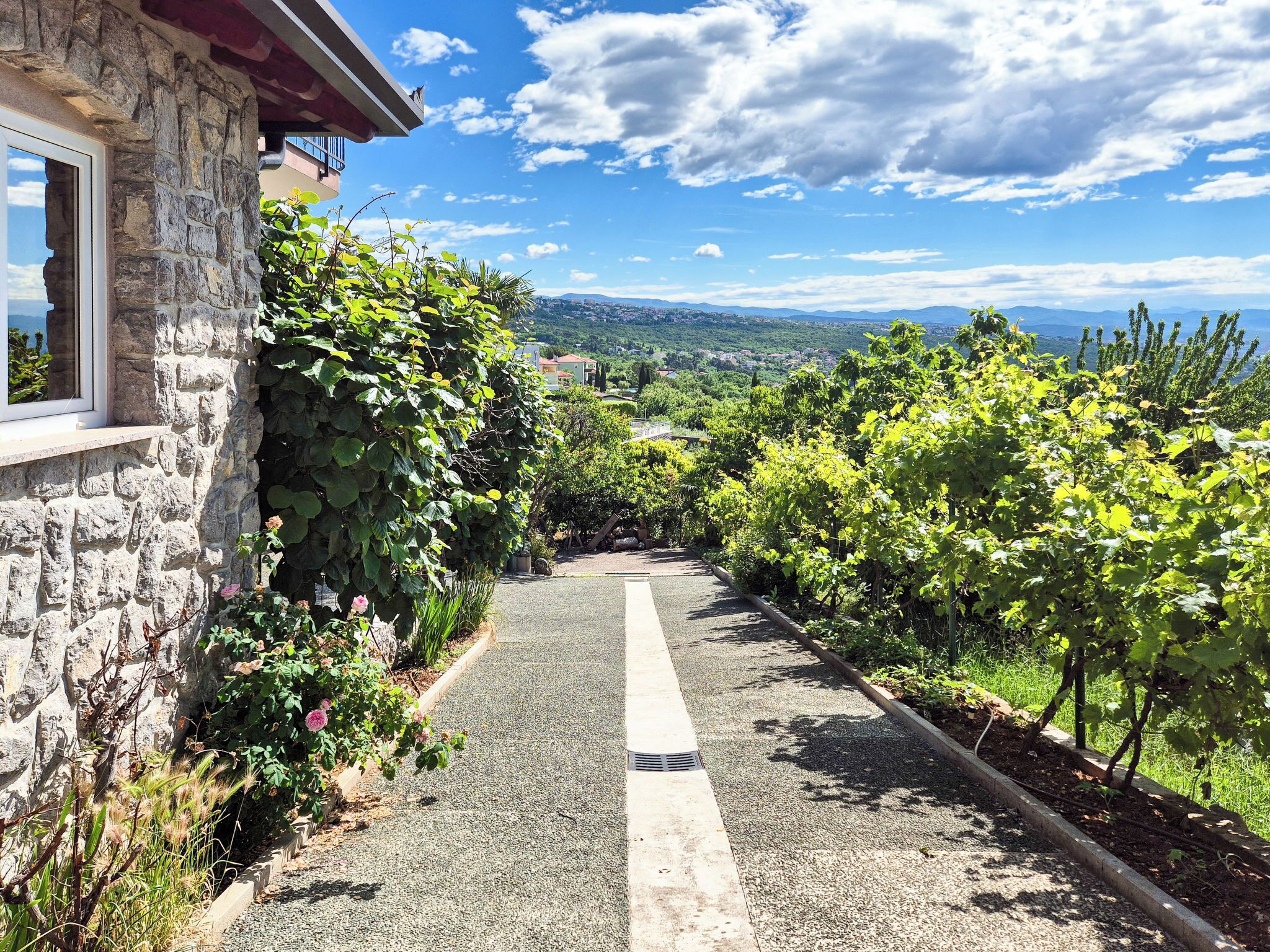A narrow paved path flanked by lush greenery and a stone building with a window.