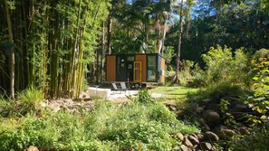 A small, modern cabin with a door and windows, surrounded by dense bamboo and greenery.