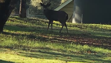 Verschiedenes
