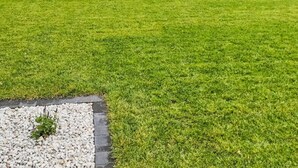 Ein Wohngebiet mit Schaukeln im Garten.