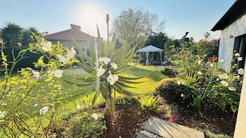A garden with various plants and flowers, a gazebo, and a house in the background.