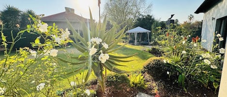 A garden with various plants and flowers, a gazebo, and a house in the background.