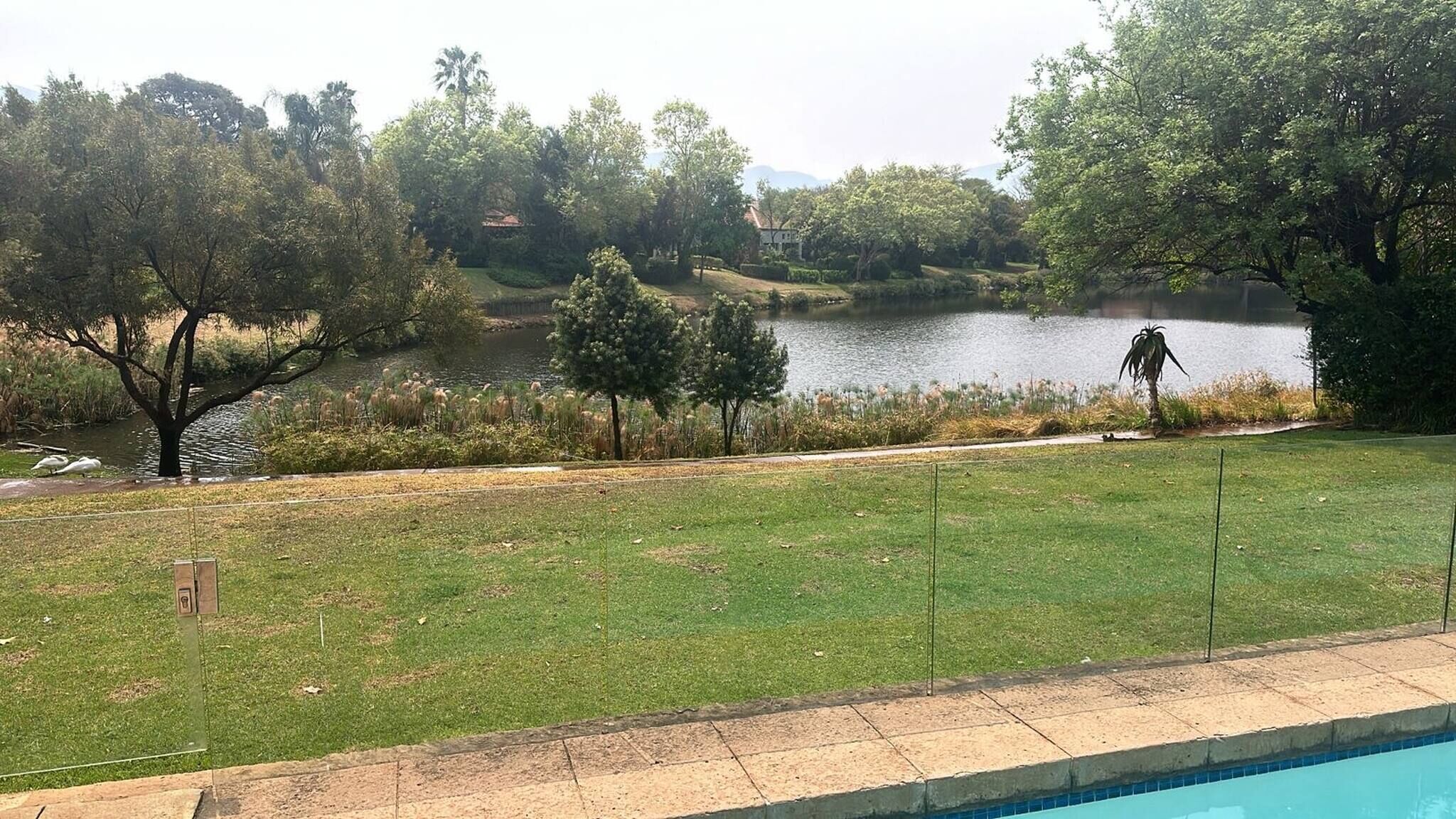 A swimming pool with a grassy area and trees in the background.