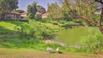 House, 4 Bedrooms, Accessible, Private Pool | Property grounds