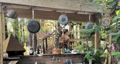 Off-Grid Riverfront Cabin Near Satilla River, Georgia
