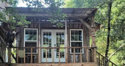 Off-Grid Riverfront Cabin Near Satilla River, Georgia