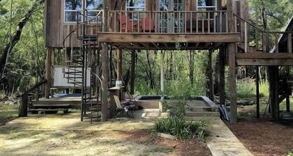 Off-Grid Cabin Retreat Near Satilla River, Georgia
