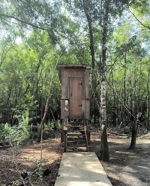 A wooden structure with a door and steps, surrounded by a forest. - Off-Grid Cabin Retreat Near Satilla River, Georgia (WAYNESVILLE)