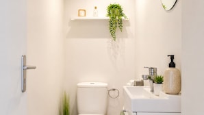 A bathroom with a toilet, sink, mirror, and a shelf with a plant. - Charming 1-bedroom apartment near Geneva, between the lake and the mountains (Bons-en-Chablais)