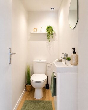 A bathroom with a toilet, sink, mirror, and a shelf with a plant. - Charming 1-bedroom apartment near Geneva, between the lake and the mountains (Bons-en-Chablais)