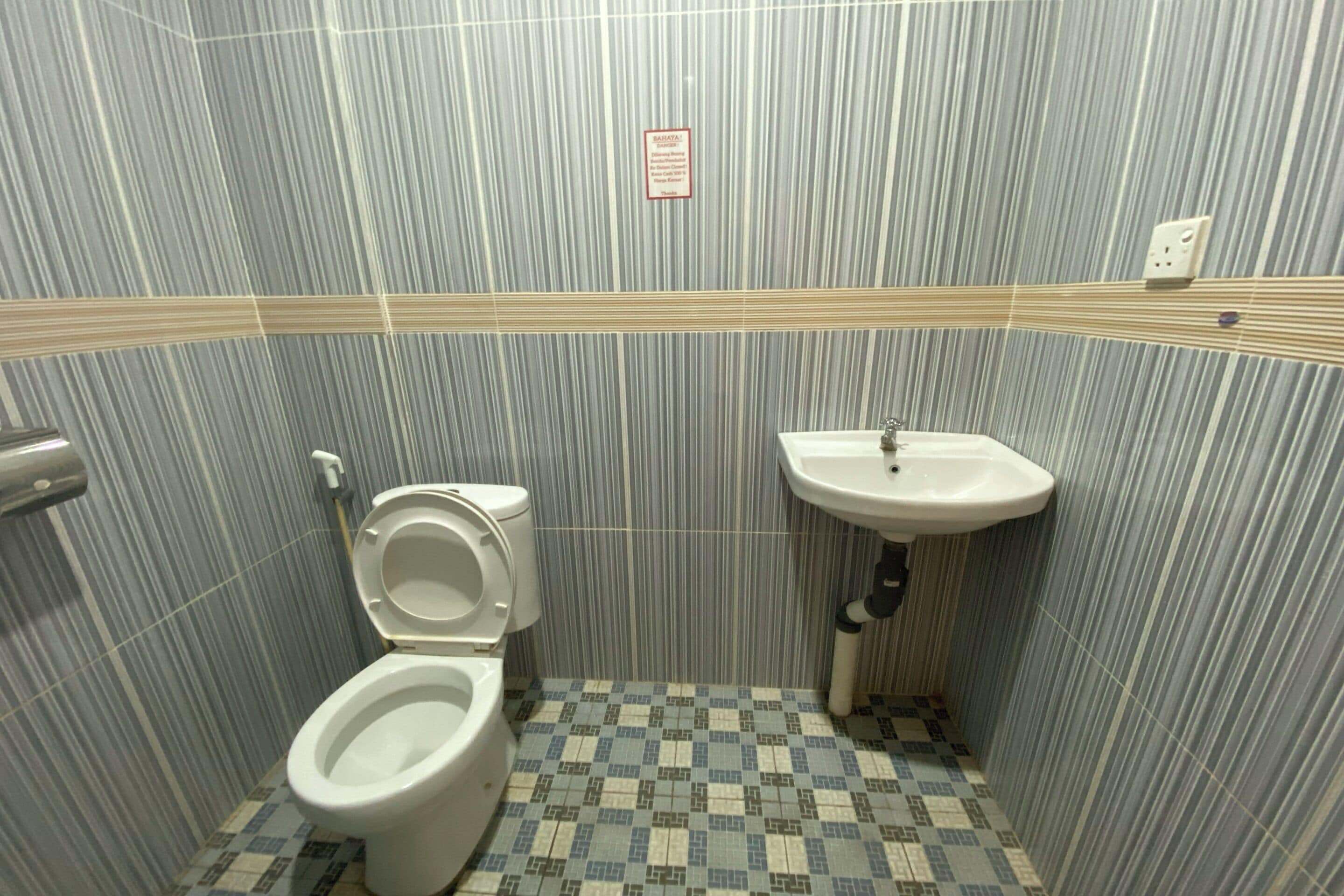 Shower, bidet, towels, toilet paper
