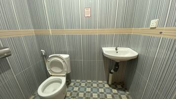 Shower, bidet, towels, toilet paper