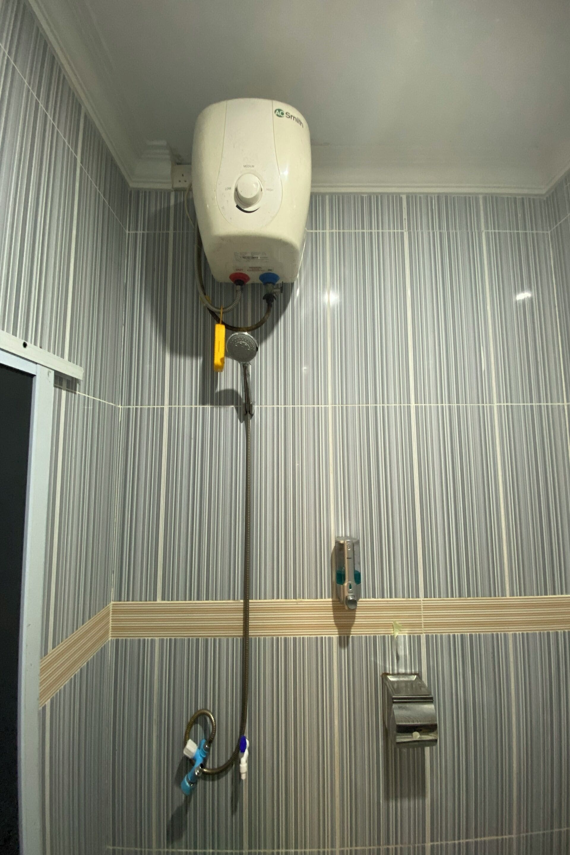 Shower, bidet, towels, toilet paper