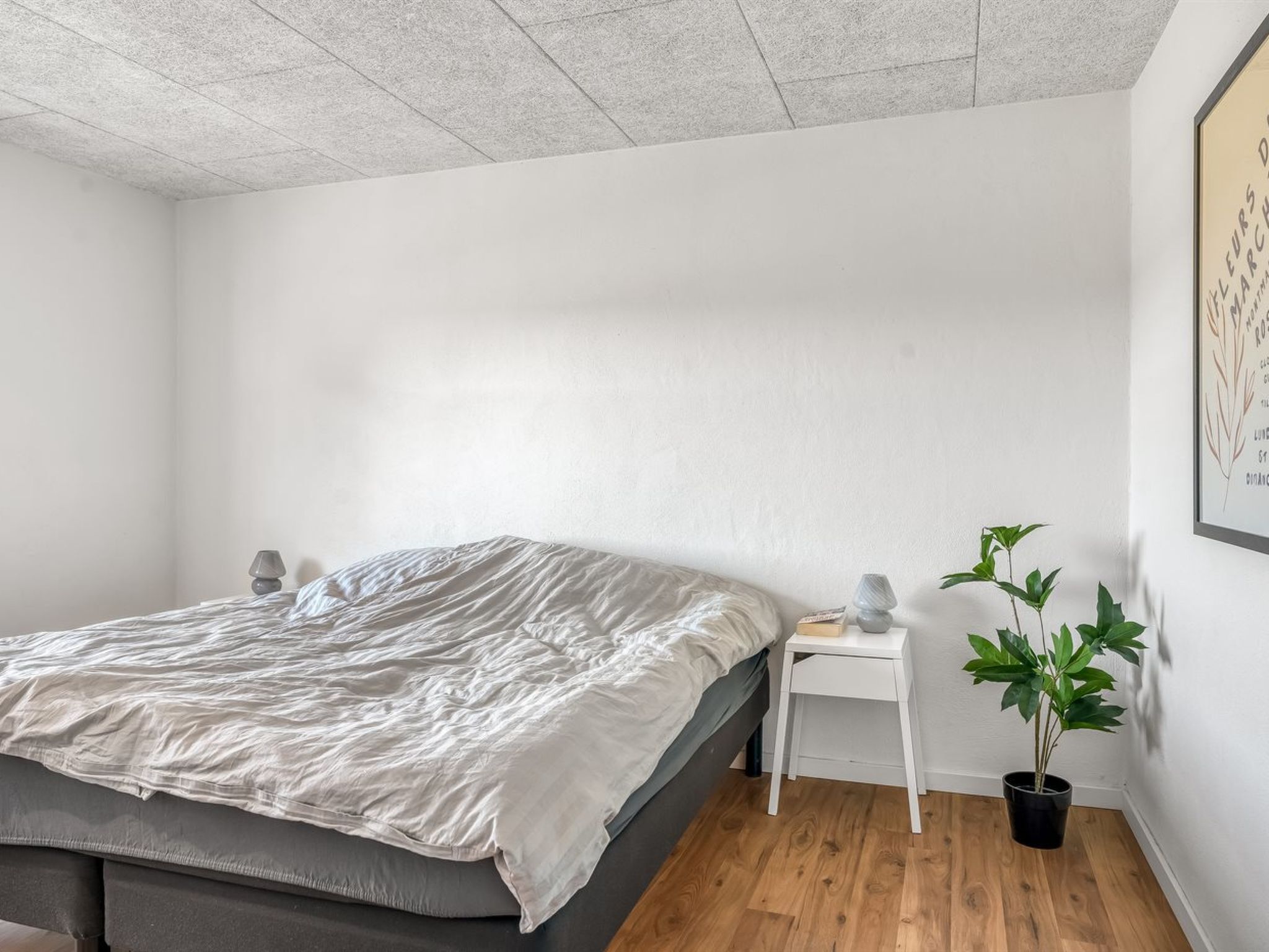 Ein Schlafzimmer mit Bett, Nachttisch, Lampe und einer Zimmerpflanze.