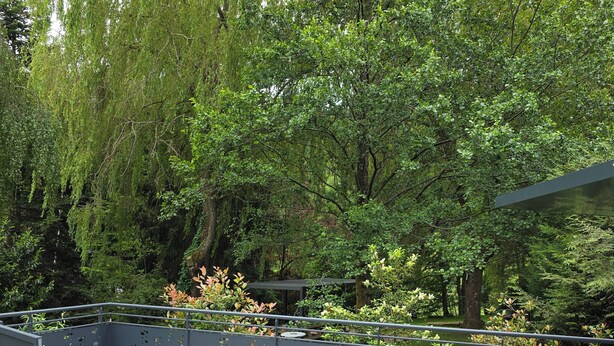 An outdoor patio with a table and chairs, surrounded by a metal fence and lush greenery. - Alsace apartment adjacent to the Domaine de Pairis, Pets allowed, (Orbey)