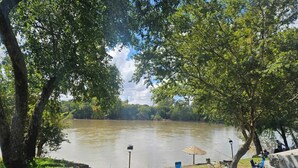 A lakeside park with trees, a fishing setup, and a concrete viewing platform.