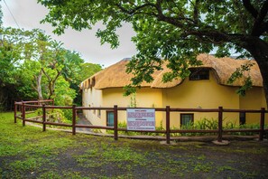 Ngoại thất